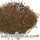 Sha Yuan Zi (Astragalus Seed, Flattened Milkvetch Seed)