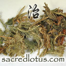 Shen Jin Cao (Lycopodii Herba)