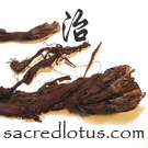 Zi Cao (Groomwell Root or Arnebia or Lithospermum)