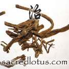 Bai Tou Weng (Chinese Anemone Root or Pulsatilla)