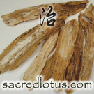 Bai Bu (Stemona Root)