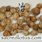 Bai Dou Kou (Round Cardamom Fruit)
