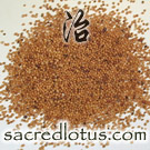 Bai Jie Zi (White Mustard Seed)