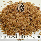 Bai Zi Ren (Arbor Vitae Seed, Biota Seed)