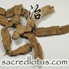 Ba Ji Tian (Morinda Root)