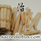 Bei Sha Shen (Glehnia Root)