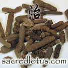 Bi Ba (Long Pepper Fruit)