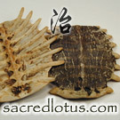 Bie Jia (Chinese Soft Shelled Turtle Shell)