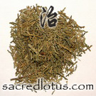 Ce Bai Ye (Biota Leaves, Leafy Twig of Arborvitae)