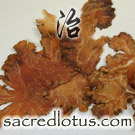 Chuan Xiong (Szechuan Lovage Root)