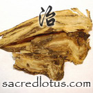 Dang Gui (Chinese Angelica Root)