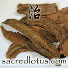 Dan Shen (Salvia Root)