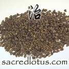 Dong Kui Zi (Musk Mallow Seeds, Abutilon Seeds)
