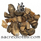 Fu Zi (Processed Aconite)