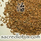 Fu Xiao Mai (Wheat Grain (Not Yet Ripe))