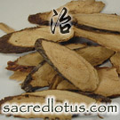 Gan Cao (Licorice Root)