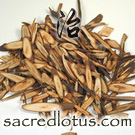 Gui Zhi (Cinnamon Twig, Cassia Twig)