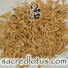 Gu Ya (Rice Sprout)
