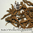 Hong Da Ji (Peking Spurge Root or Euphorbia)