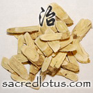 Huang Qi (Astragalus)