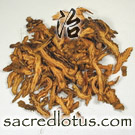 Huang Lian (Coptis Rhizome)