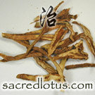Huang Qin (Radix Scutellariae Baicalensis)
