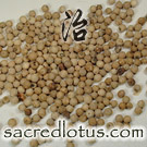 Hu Jiao (Black Pepper)