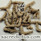 Jiang Can (Body of Sick Silkworm)