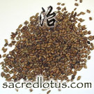 Jue Ming Zi (Cassia or Foetid Cassia Seeds)