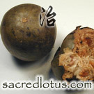 Luo Han Guo (Momordica Fruit)