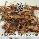 Ma Huang Gen (Ephedra Root)