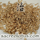 Mai Ya (Barley Sprout, Malt)