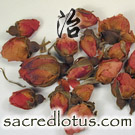 Mei Gui Hua (Flos Rosae Rugosae)