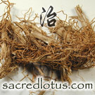 Nuo Dao Gen Xu (Glutinous Rice Root)