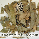 Pi Pa Ye (Loquat Leaf)