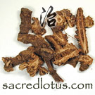 Qiang Huo (Notopterygium Root)