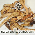 Qian Hu (Hogfennel Root)