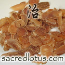 Ren Shen (Ginseng Root)