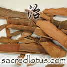 Rou Gui (Inner Bark of Saigon Cinnamon)