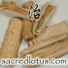 Sang Bai Pi (Bark of Mulberry Root)