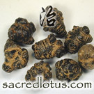 San Qi (Radix Pseudoginseng)