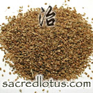 She Chuang Zi (Cnidium Seeds)