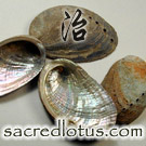 Shi Jue Ming (Abalone Shell)