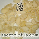 Tao Ren (Peach Kernel)