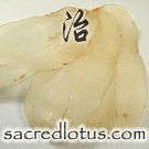 Tian Ma (Gastrodia Rhizome)