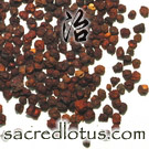 Wu Wei Zi (Schisandra Fruit)