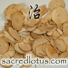 Wu Yao (Lindera Root)