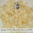 Xing Ren (Apricot Seed or Kernel)