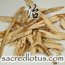 Yin Chai Hu (Stellaria Root)