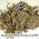 Yin Chen (Herba Artemisiae Yinchenhao)